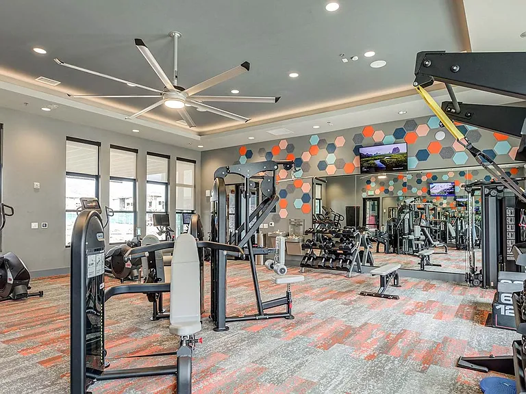 Free Weights