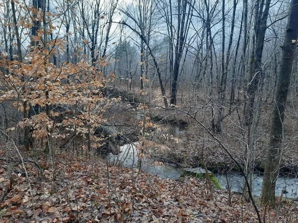 0 Cemetery Dr #1, Hannibal, NY 13074