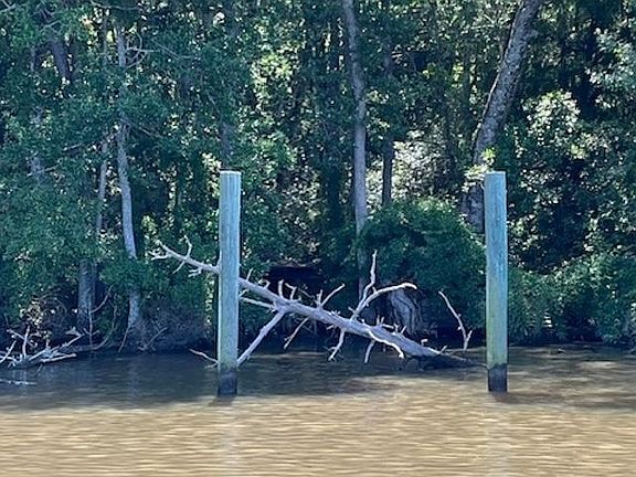 4th image of 15249 County Road 9