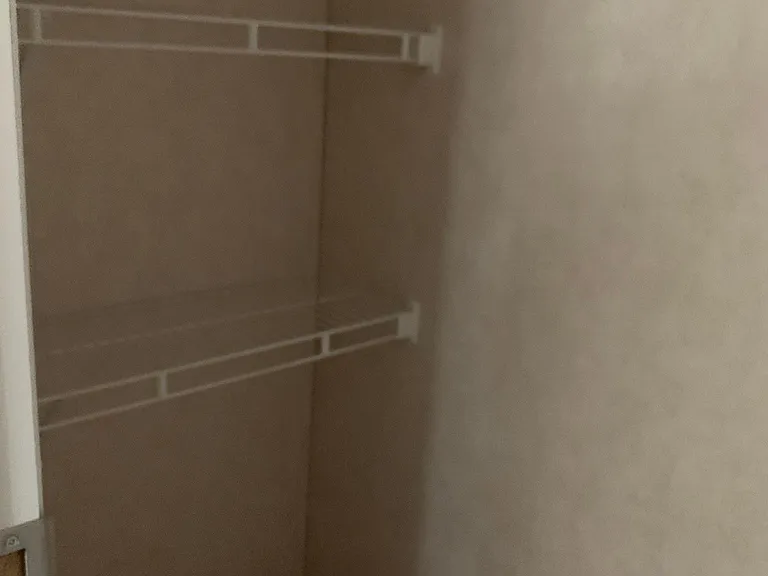 master bathroom closet