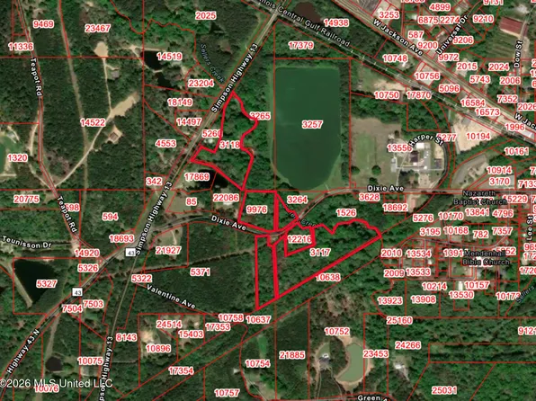 Dixie Ave, Mendenhall, MS 39114