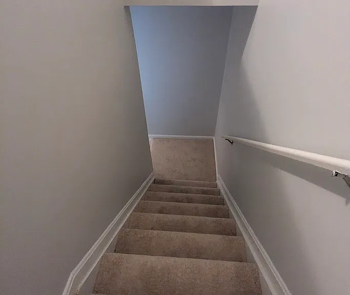 Carpeted stair