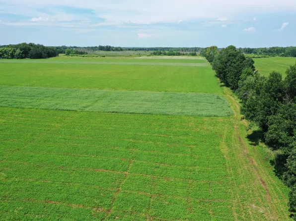 Tbd 115th Ave, Eagle Bend, MN 56446