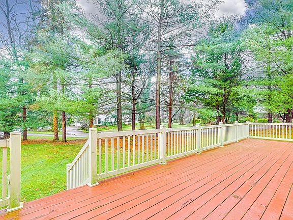 Views of the backyard 