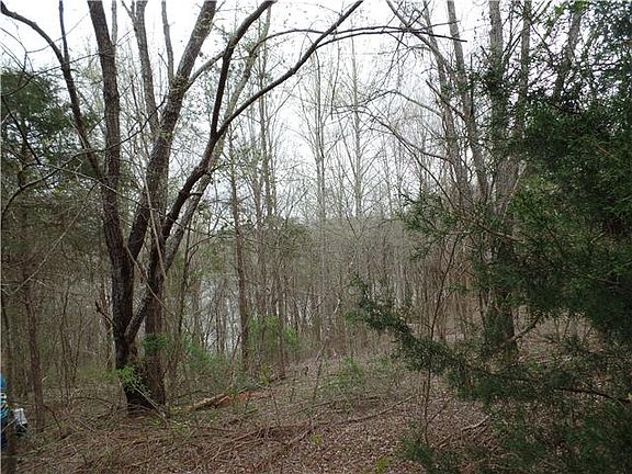 3rd image of 0 Hickory Hill Dr Lot 24