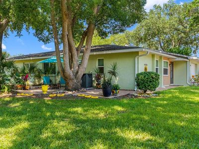 1150 ORANGE TREE CIRCLE E #D, Palm Harbor, FL, 34684