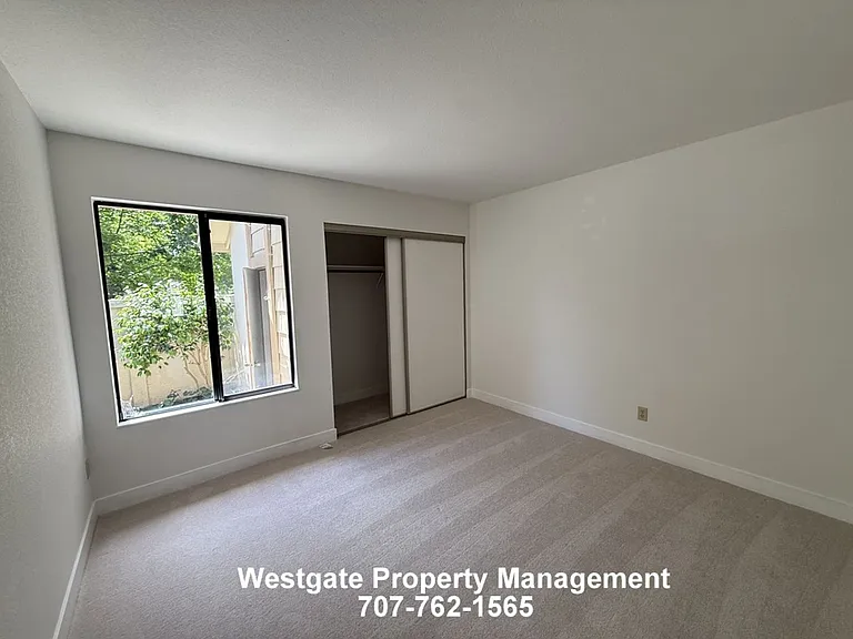 240 Park Place Dr — Photo 8