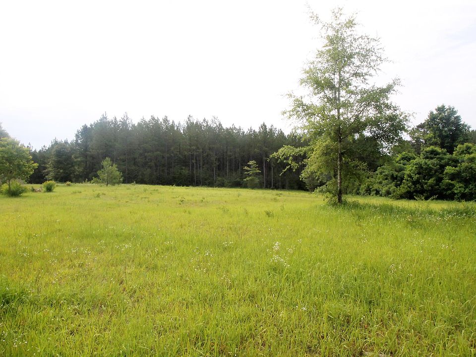 2nd image of 203 Beaver Dam Dr
