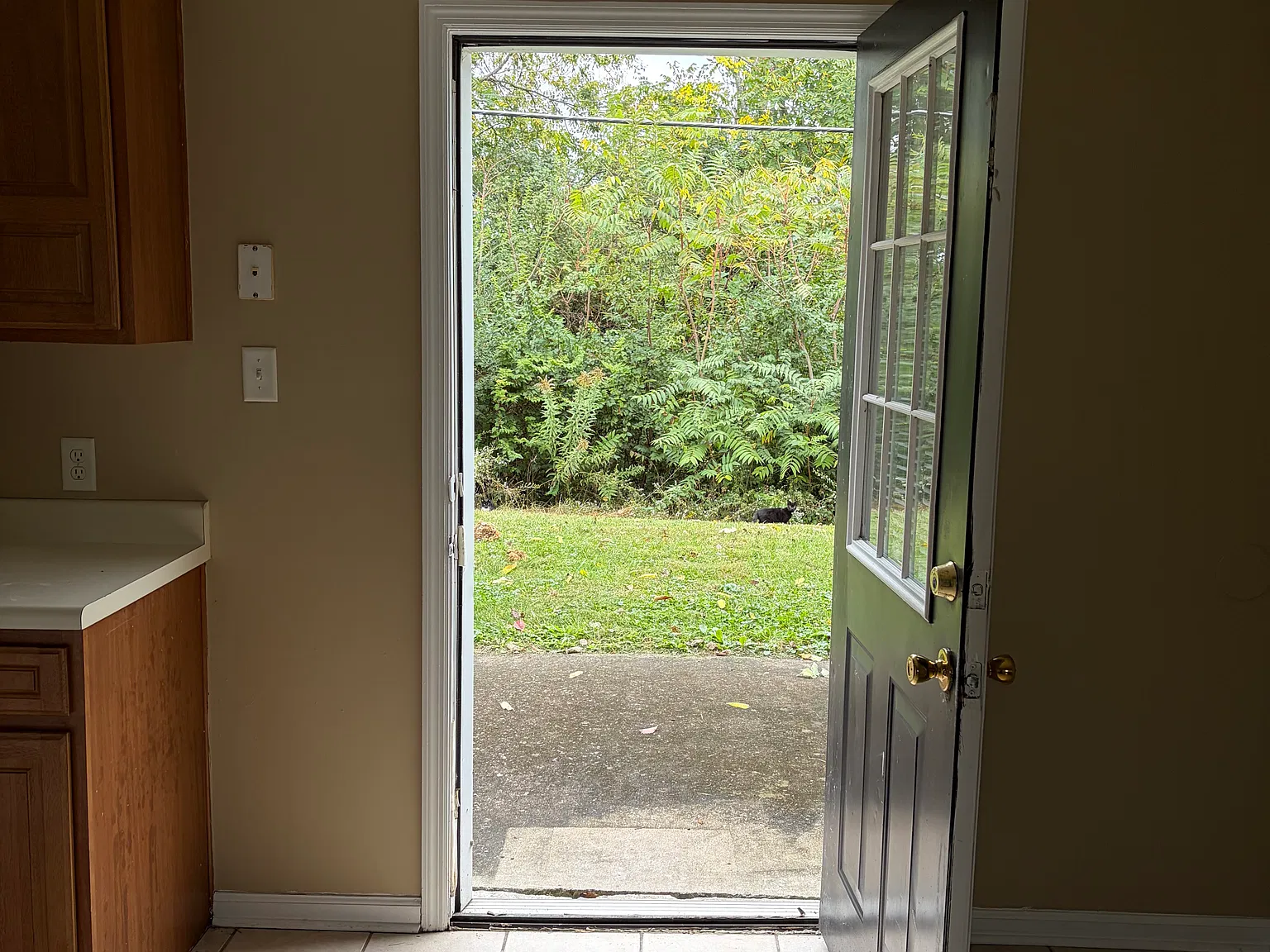 2 bed, 1000 sqft, $895 — Photo 4