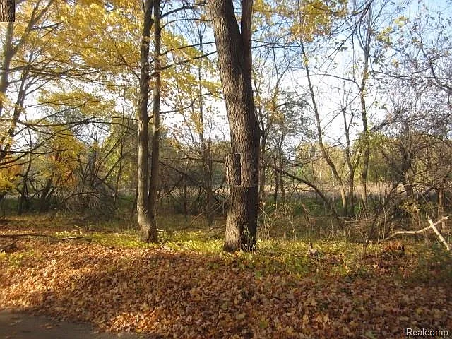 1585 Hendrie Rd photo 1