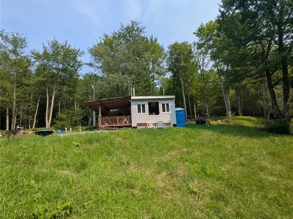 Hollow Rd Lot 30, Roxbury, NY 12474