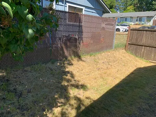 3329 Ward Ave — Photo 12