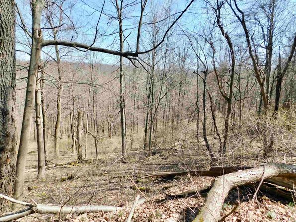 Longhorn Ln, Morgantown, WV 26508