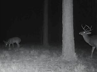 Us Highway 51, Bogue Chitto, MS 39629