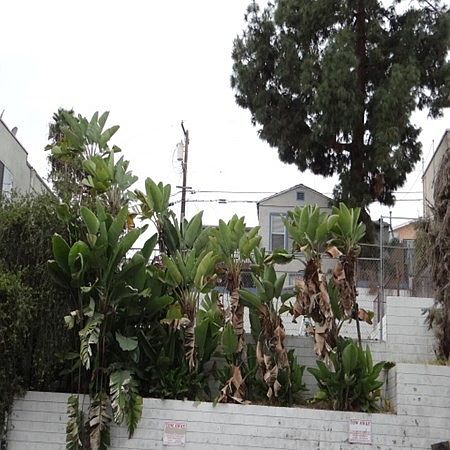 1st image of 4322 52nd St