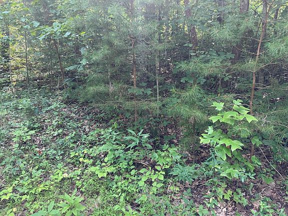 3rd image of 9 Tucker Hollow Rd