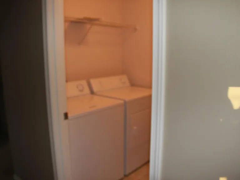washer /dryer include