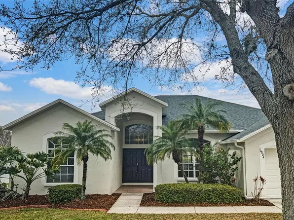 10804 Australian Pine Dr, Riverview, FL 33579