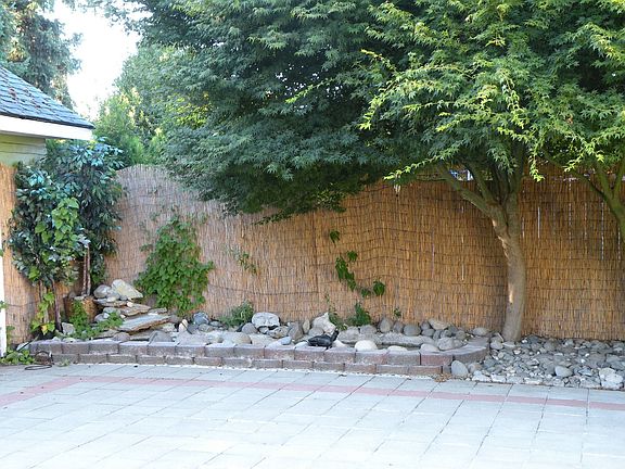 Water Feature
