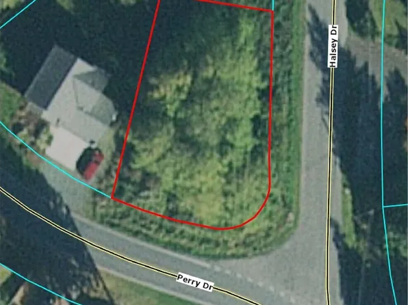 0 Halsey & Perry Drive, Coupeville, WA 98239