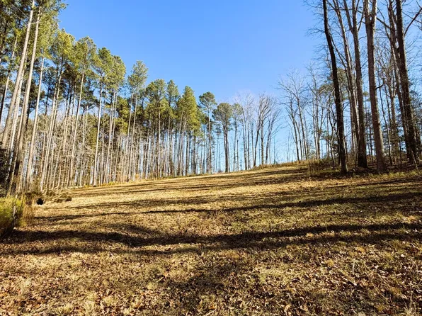 318 Jones Ferry Rd Lot 5, Pittsboro, NC 27312
