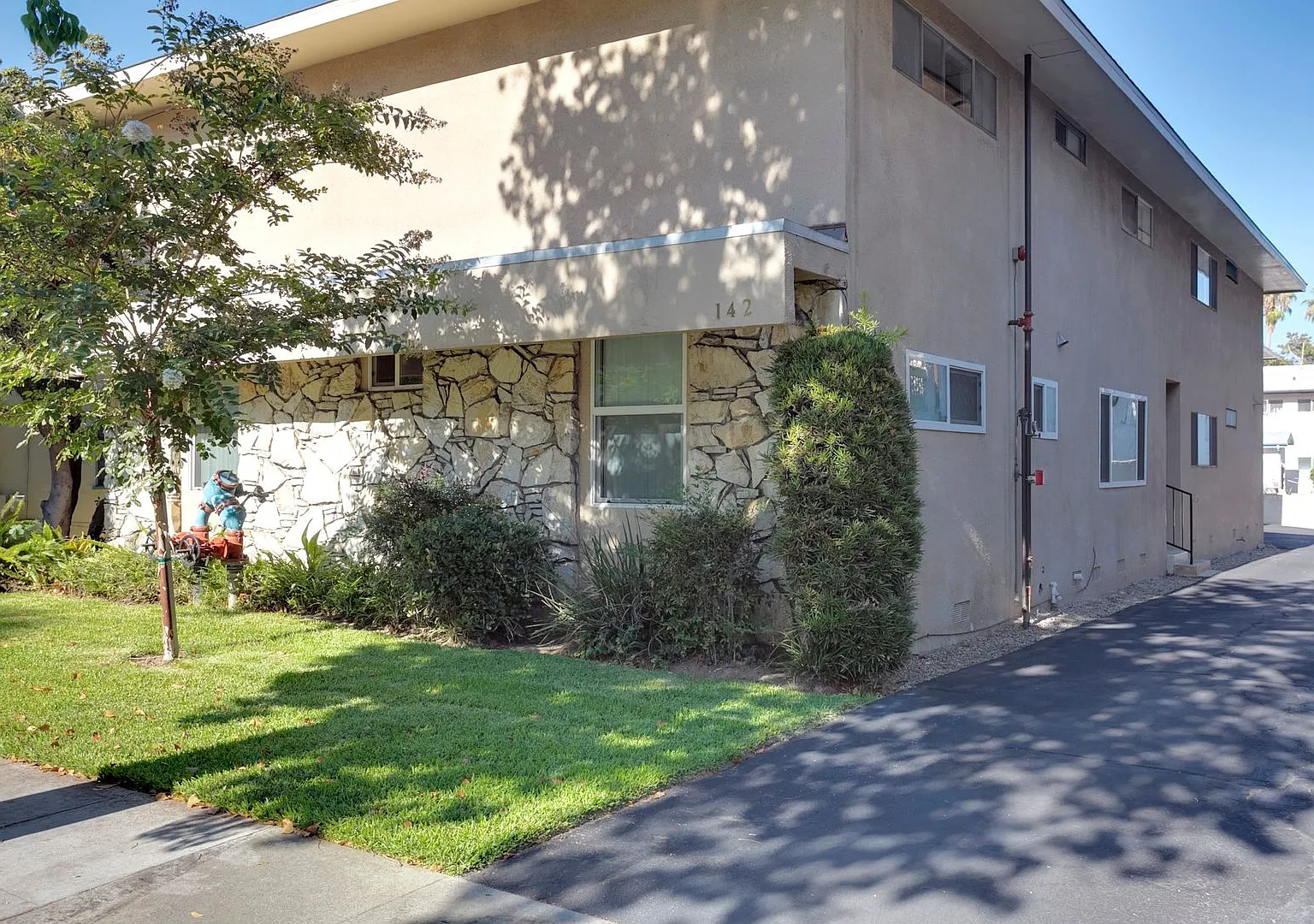 elm142 — Photo 1