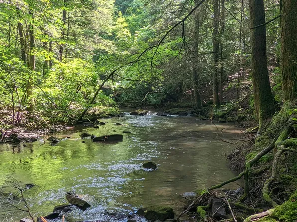 0 Wolf Haven Rd #8, Spencer, TN 38585