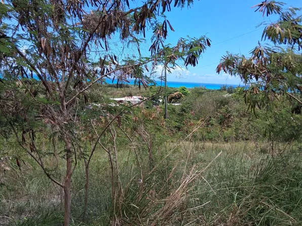 19 I Whim Whim (Two Will) WE, St. Croix, VI 00840