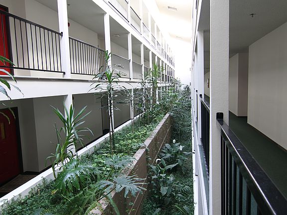 Tranquil Garden Atrium