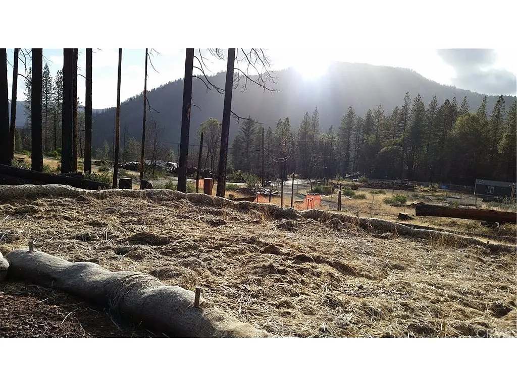 11122 Oak St photo 1