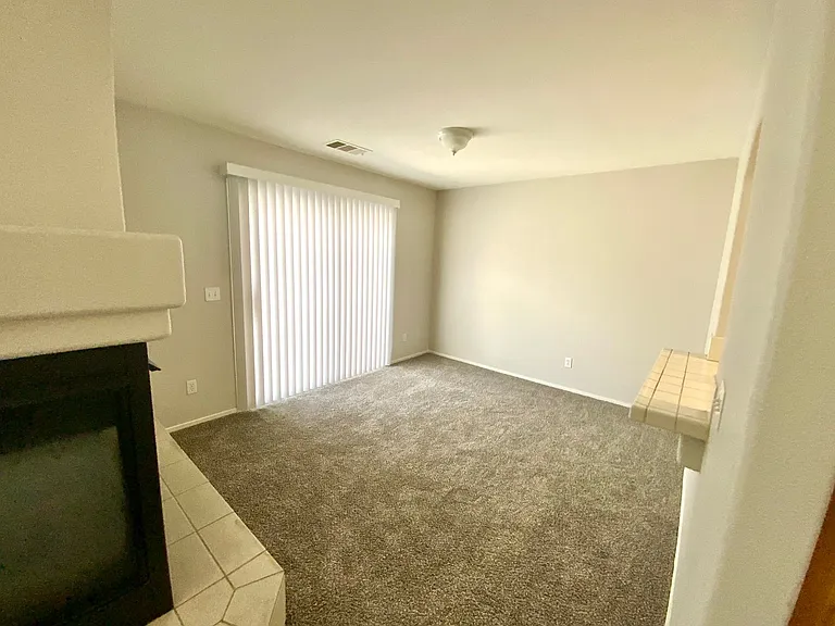 10256 Grecian Laurel Ct — Photo 13