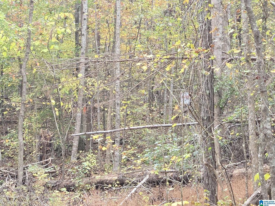 1st image of Bohannon Dr #0