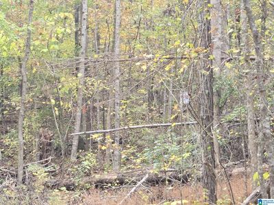Bohannon Dr #0, Moody, AL, 35004