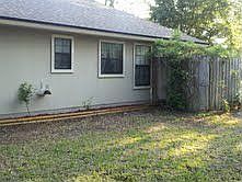 Side yard with wisteria and roses