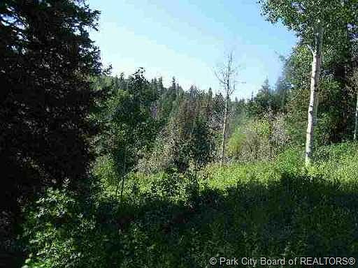 2nd image of 54 S Yellow Moon Cir #C