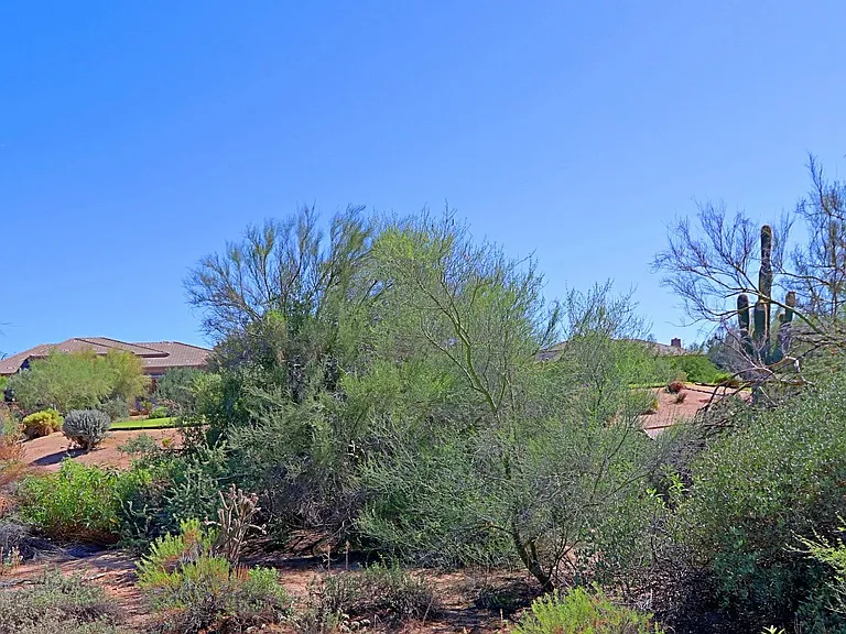 6193 E Brilliant Sky Dr — Photo 32