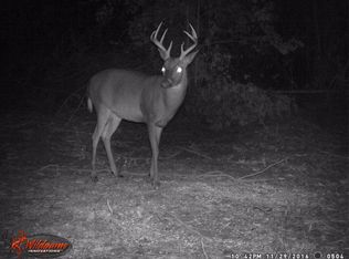 Glen Carter Rd, Magnolia, MS 39652