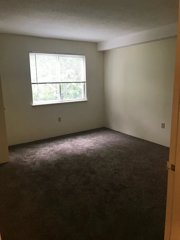1 bed, 1.0 bath, 698 sqft, $2,100 — Photo 4