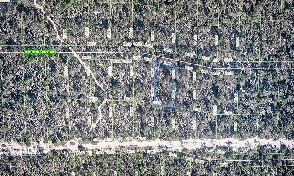1st image of 2137 Bird Of Paradise Ave Lot 110