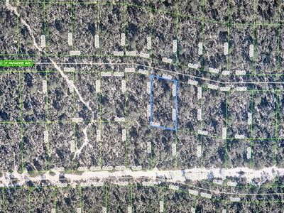 2137 Bird Of Paradise Ave Lot 110, Sebring, FL, 33875