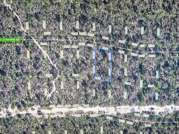 2137 Bird Of Paradise Ave Lot 110, Sebring, FL 33875