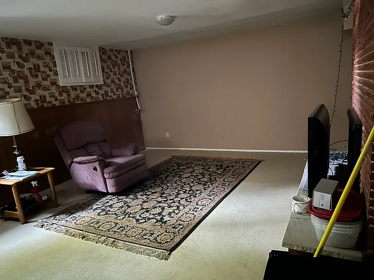Basement living room