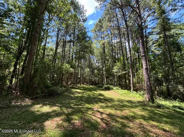 48135 Louisiana Industries Rd #438, Franklinton, LA 70438