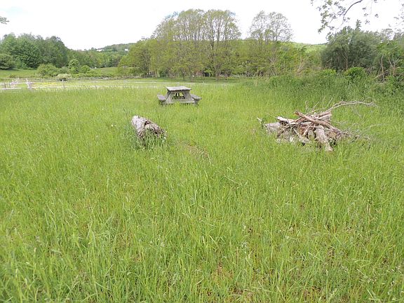 Upper pasture/picnic area