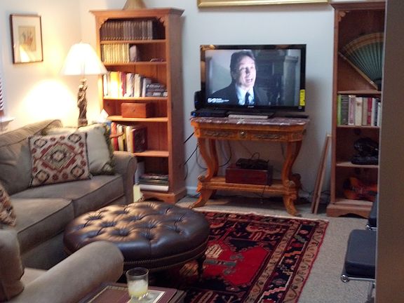 Vaulted ceiling living room
