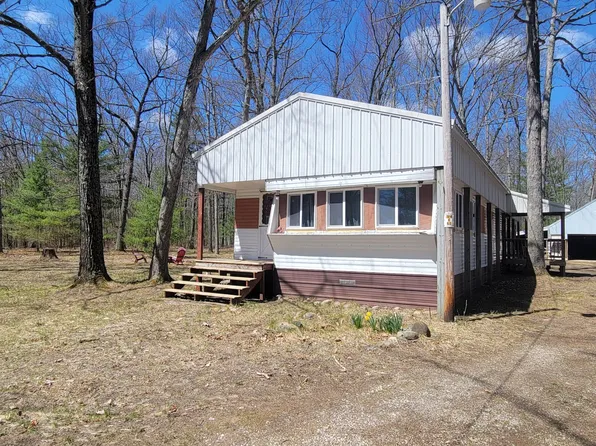 8630 W Canyon Dr, Irons, MI 49644