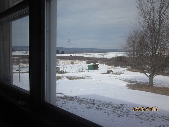 view from dining room