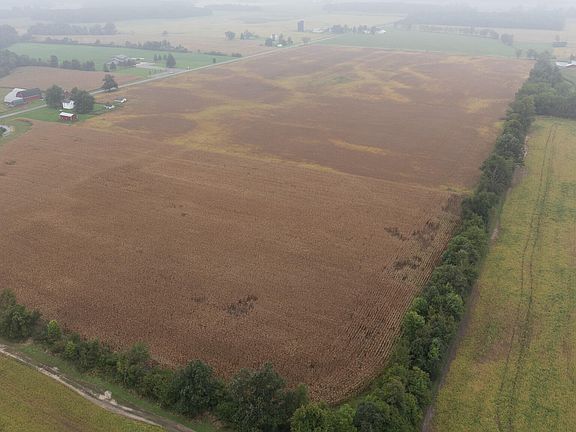 4th image of 13650 Tripp Rd