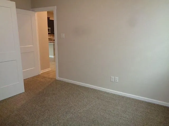 27029 Sofia Forest Dr — Photo 33