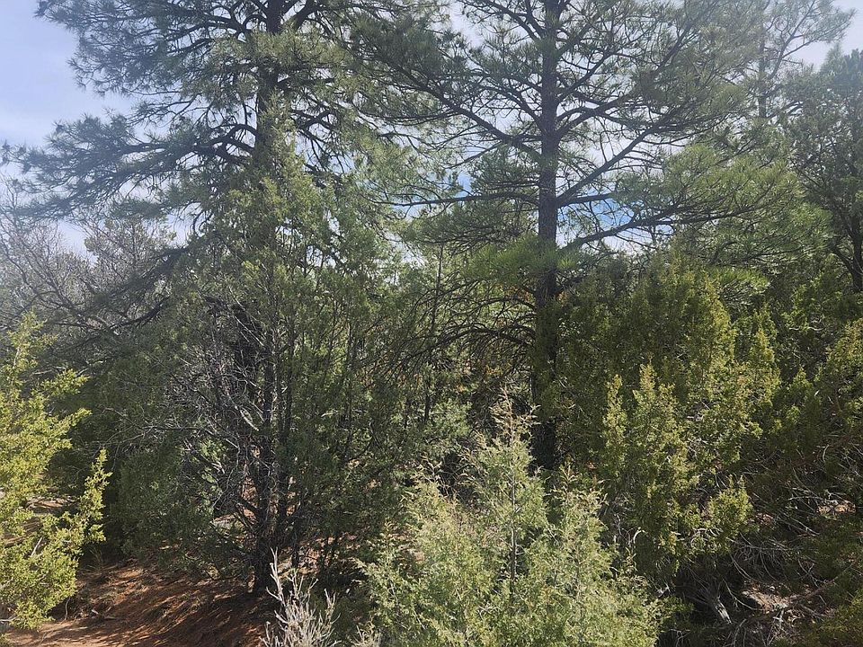 2nd image of La Madera Rd